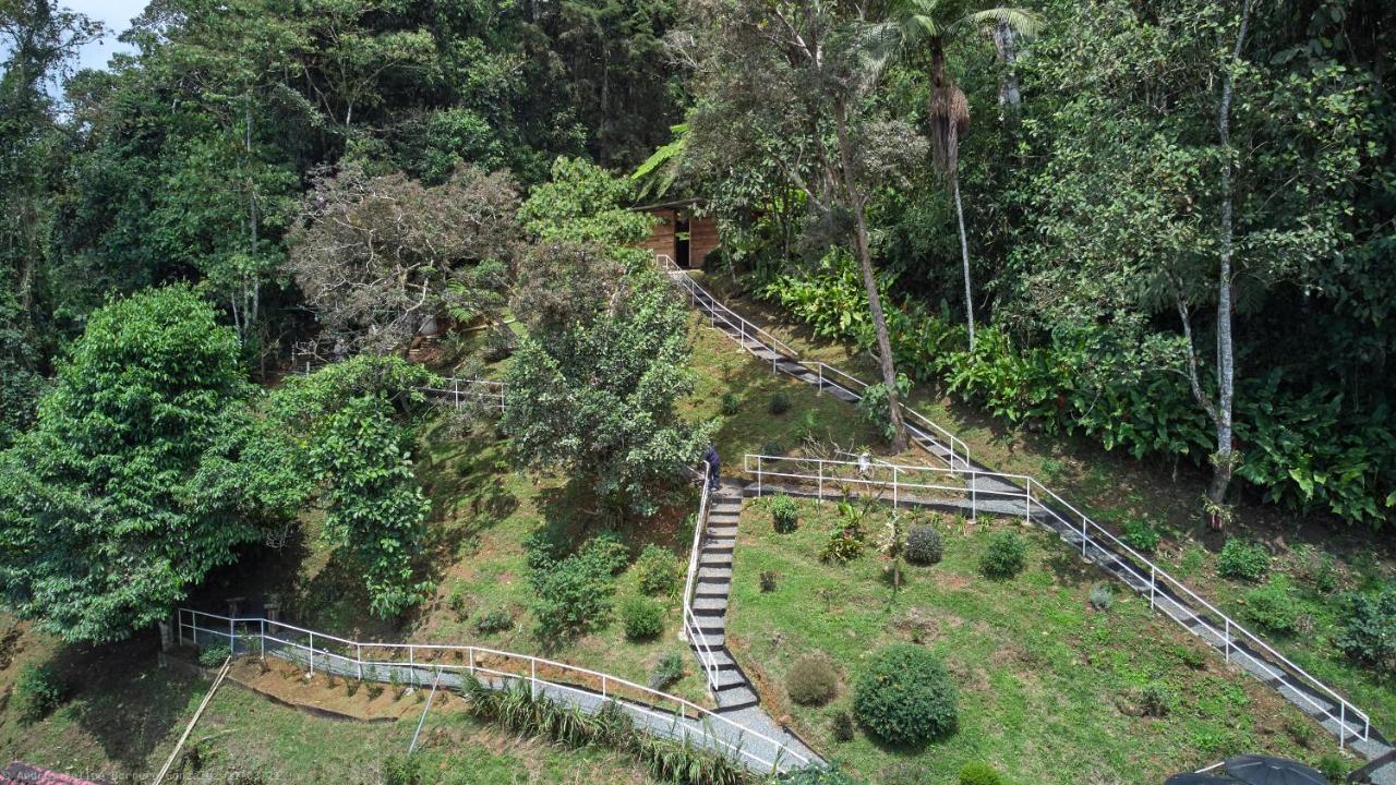 Bosque De Niebla Birding & Nature Калі Екстер'єр фото