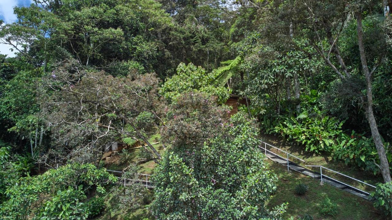 Bosque De Niebla Birding & Nature Калі Екстер'єр фото